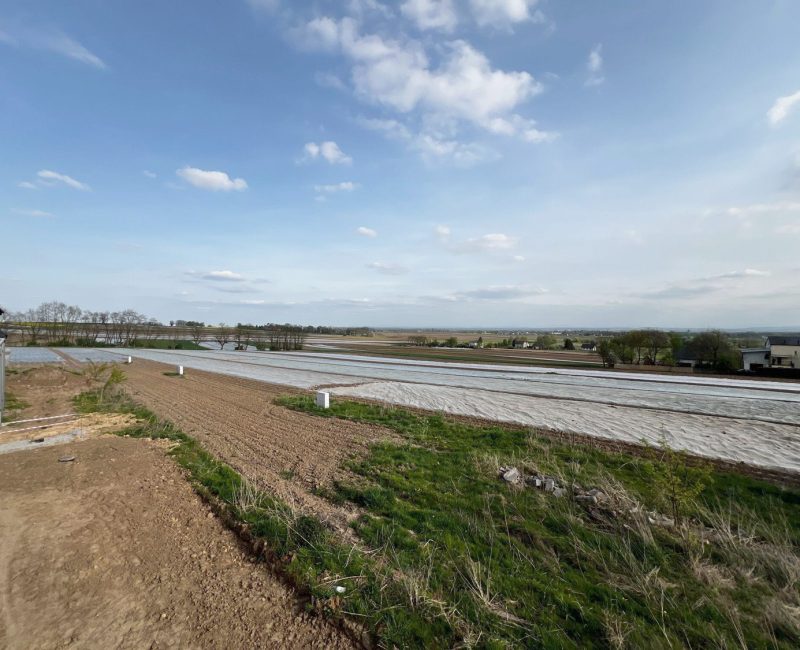 krzysztoforzyce-blizniaki--mieszkania-krakow-dev5